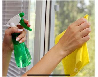 Pulizie vetri e finestre