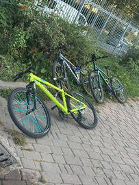 whellie bike st 100
