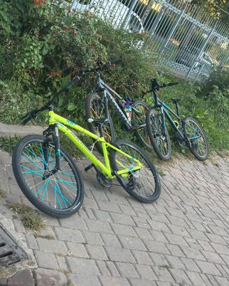 whellie bike st 100