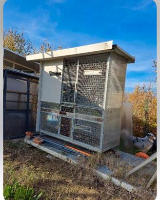 gabbia per pappagalli 