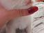 Immagine 3