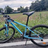 mountain bike misura 24