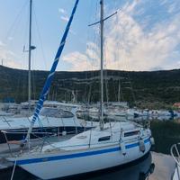 Barca a vela Cat 33 cabinata natante