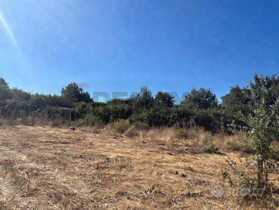 Terreno - Castiglione di Sicilia - Vista 5