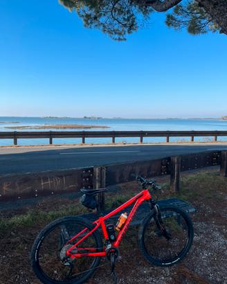 Mtb Cannondale Trail 3