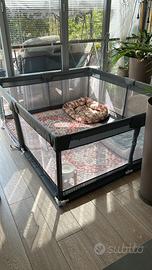 Recinto per cuccioli