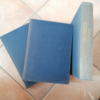 Grande dizionario della lingua italiana