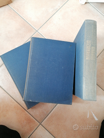 Grande dizionario della lingua italiana