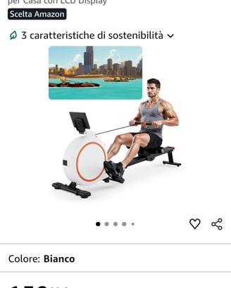 vogatore nuovo 