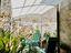 Immagine 26