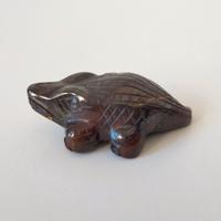 Coccodrillo in occhio di tigre