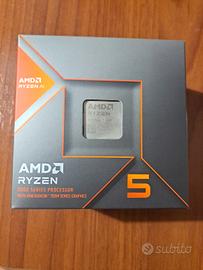 AMD Ryzen 5 8600g