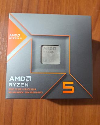 AMD Ryzen 5 8600g