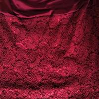 Mini vestito bordeaux.