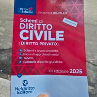 Libro diritto civile schemi