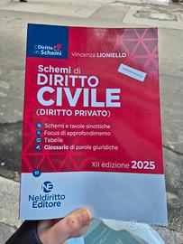 Libro diritto civile schemi