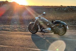Harley fat boy 114