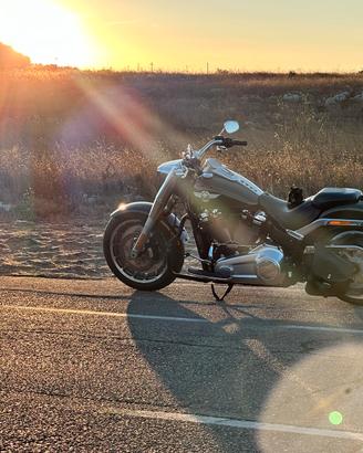 Harley fat boy 114