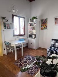 San Frediano bilocale libero a giugno