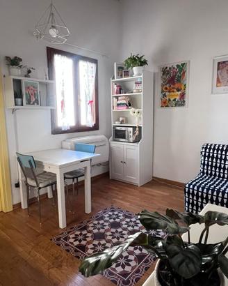 San Frediano bilocale libero a giugno