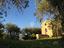 Immagine 8
