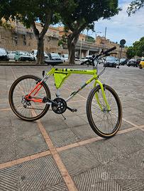 Bicicletta mountain bike 