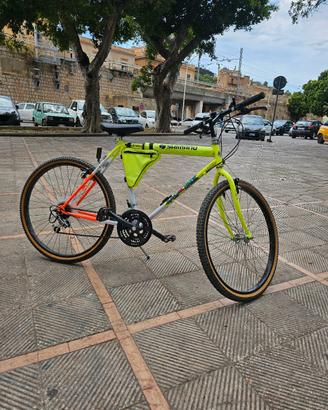 Bicicletta mountain bike 