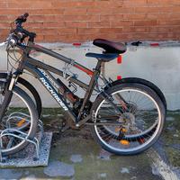 Biciclette MTB