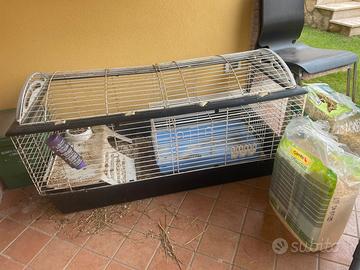 Gabbia per cavia peruviana