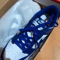 Nike dunk low retro blue