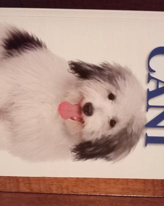 libro sui cani 