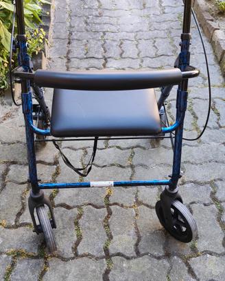 deambulatore da passeggio