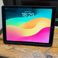 Ipad pro 12.9 + cellular