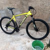 Tmb brera 29
