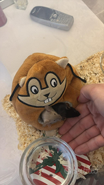 Coppia topini bianco e nero