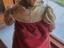 Immagine 6
