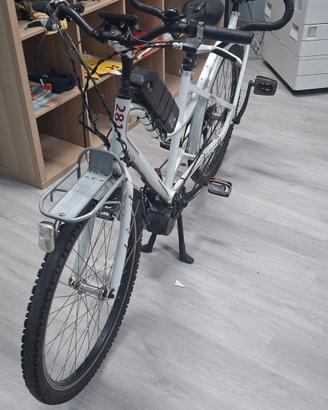 bicicletta tandem elettrico 