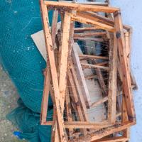 telarini  nido e melario 