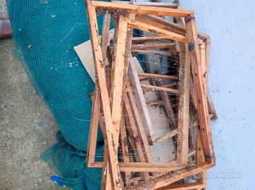 telarini  nido e melario 