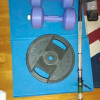 coppia dischi 10kg cadauno Technogym 