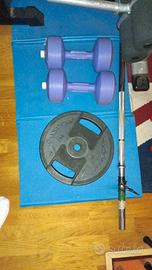 coppia dischi 10kg cadauno Technogym 