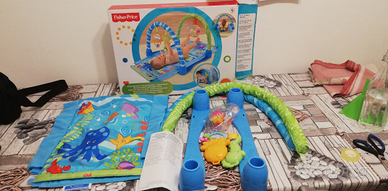 Palestra ,e giostra,fisher price
