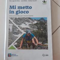 mi metto in gioco