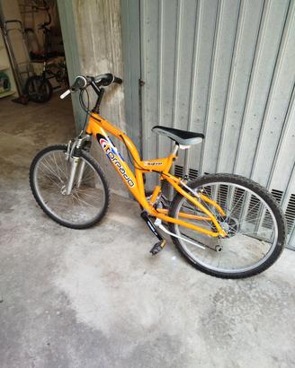 bici da bambino