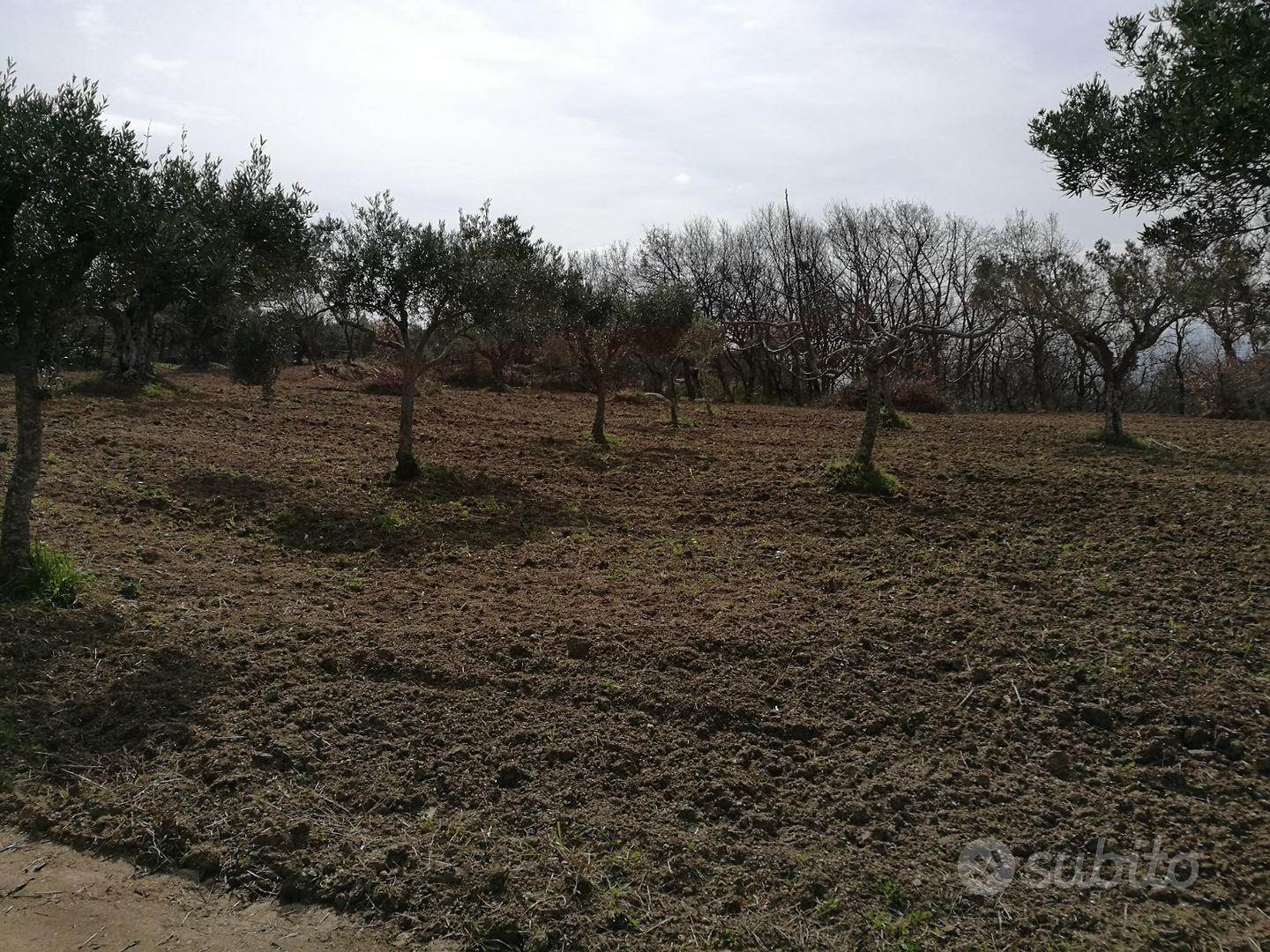 Terreno Agricolo - Vista 4
