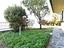 Immagine 29