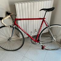 Bicicletta vintage Pinarello