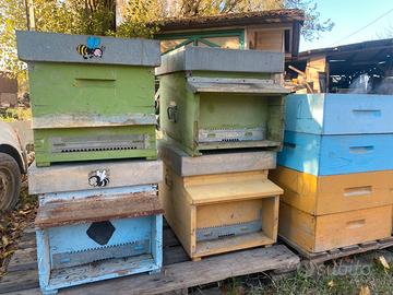 4 Arnie Apicoltura/Api