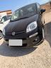 fiat-panda-1-2-benzina-anno-2015