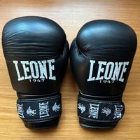 Guanti boxe Leone Ambassador 10oz